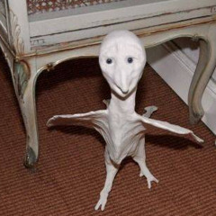 B