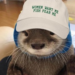 Otterinwater