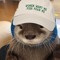Otterinwater