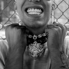 Maciek Ziomal