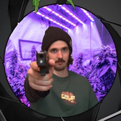KRAVN