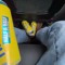dirtybaboon