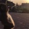 onesexymf