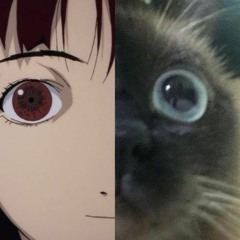 Sea_Cat_Nature _