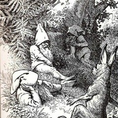 odd cato Larsen larsen