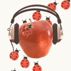 ﹏ 𝙝𝙯𝙪𝙠𝙞 ˚∘