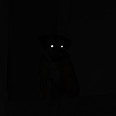 idkwhattoputhere