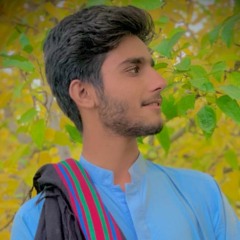 SALMAN   ALIZAI