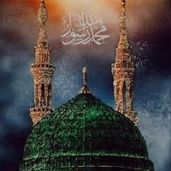 محمد رضا
