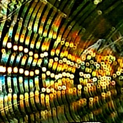 nanoggedon