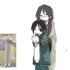 Meowm meow meow im meowing