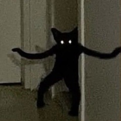 Noise
