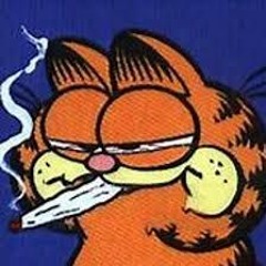 FuckGradeAandBibbyLeaks