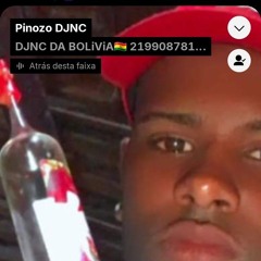 Pinozo Damineral