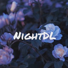 NightDL