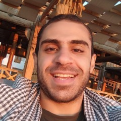 mohamed sabry