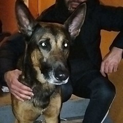 dfourailleur ganté