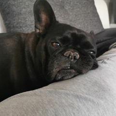 Dave
