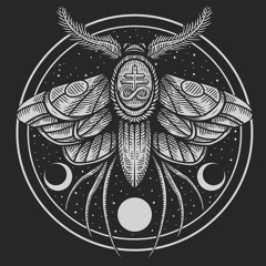 Alien_Friendly_