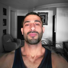 ARMAN alaedini