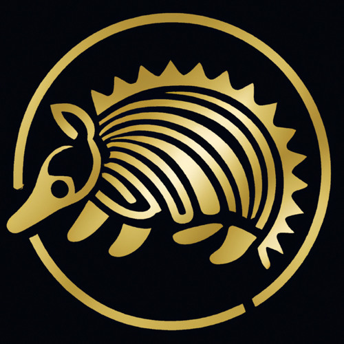 Brave Armadillo’s avatar