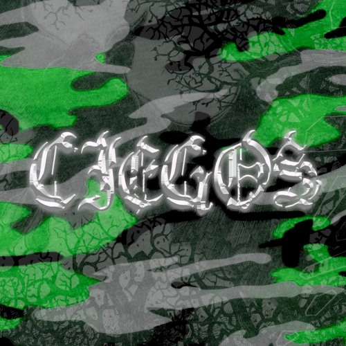 CIEGOS’s avatar