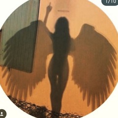 prettybird