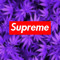 alex_kinney03