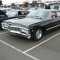 Impala Man