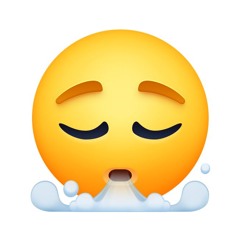 DU RAMMER (feat. eliz)