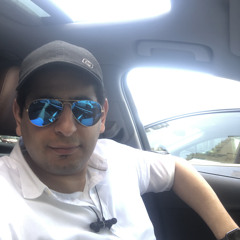 Mohamed Heneidy