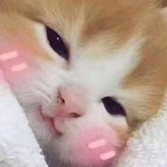 Anh