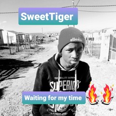 SweetTiger