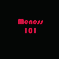 mENeSs 101