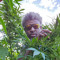 Rasheed Chastanet