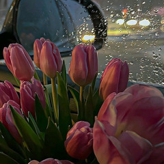 الملكة🙂‍↔️