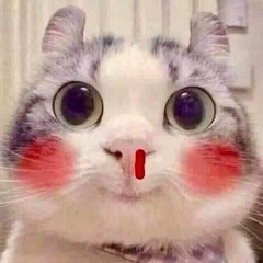 Tiêu Tiêu