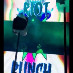 RIOT PUNCH