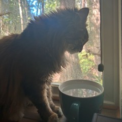 Poor Unfortunate Souls - Pat Carroll Cover