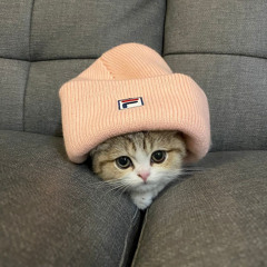 owozz