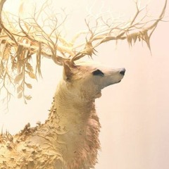 Tomwolfxxx