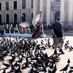 HijosDeEsperanza(Daniel Colón)