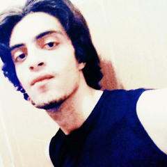 Ashraf Zayed (ماكس ليل )