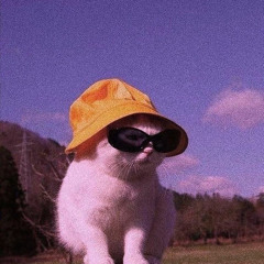 🚗