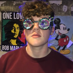 Dylzer