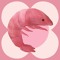 shrimpfacelove