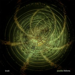Bert Vanden Berghe / www.brunk.be
