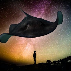 Stingrays From Neptune