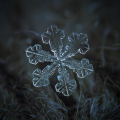 Snowflake