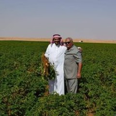 موافي اللواتي